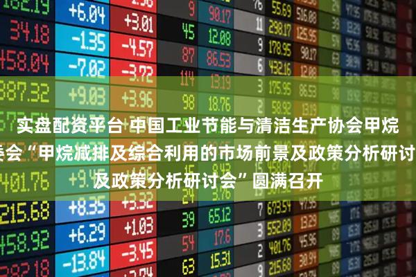实盘配资平台 中国工业节能与清洁生产协会甲烷综合利用专委会“甲烷减排及综合利用的市场前景及政策分析研讨会”圆满召开